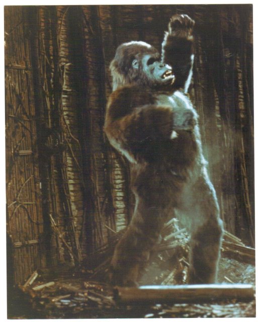 King Kong color glossy photograph 8 by 10