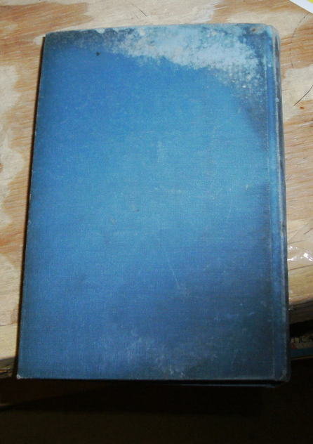 On An Island that Cost $24.00 original hardback by Irvin S. Cobb