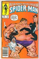 Peter Parker, the Spectacular Spider-man #91 comic book near miont 9.4