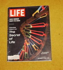 Life magazine October 4, 1963