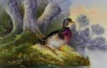 Beautiful Game Duck Plate