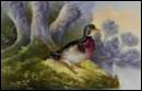 Beautiful Game Duck Plate