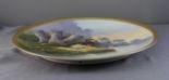 Beautiful Game Duck Plate