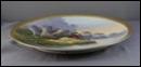 Beautiful Game Duck Plate