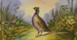 Beautiful Game Plate of Pheasant