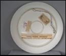Beautiful Game Plate of Pheasant