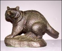 Bronze Raccoon