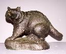 Bronze Raccoon