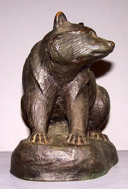 Bronze Raccoon