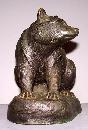 Bronze Raccoon