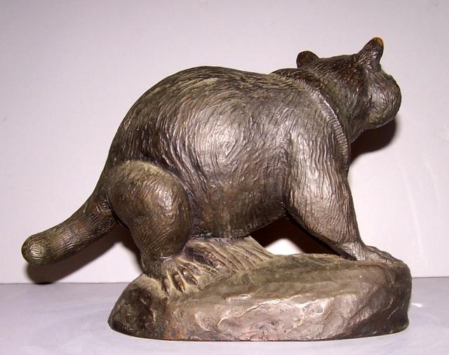 Bronze Raccoon