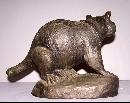 Bronze Raccoon