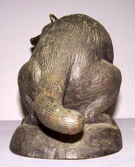 Bronze Raccoon