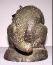Bronze Raccoon