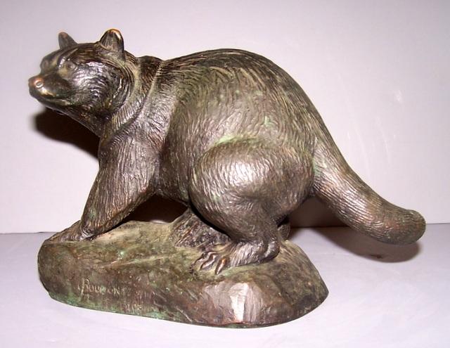 Bronze Raccoon