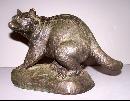 Bronze Raccoon