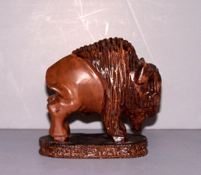 Buffalo from Saint Joseph’s Indian School