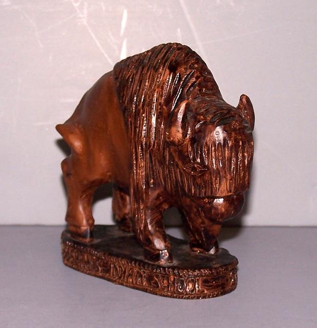 Buffalo from Saint Joseph’s Indian School