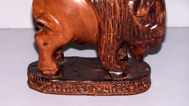 Buffalo from Saint Joseph’s Indian School