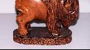 Buffalo from Saint Joseph’s Indian School