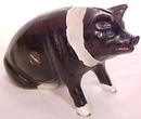 Cast Metal Pig Bank