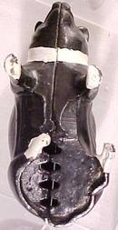 Cast Metal Pig Bank