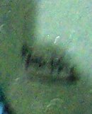 Miniature Signed Portrait of a