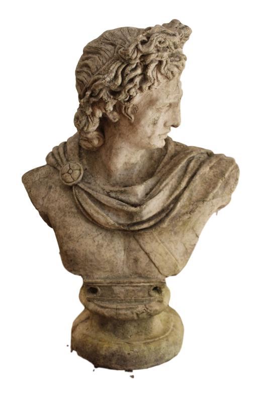 Bust of Apollo