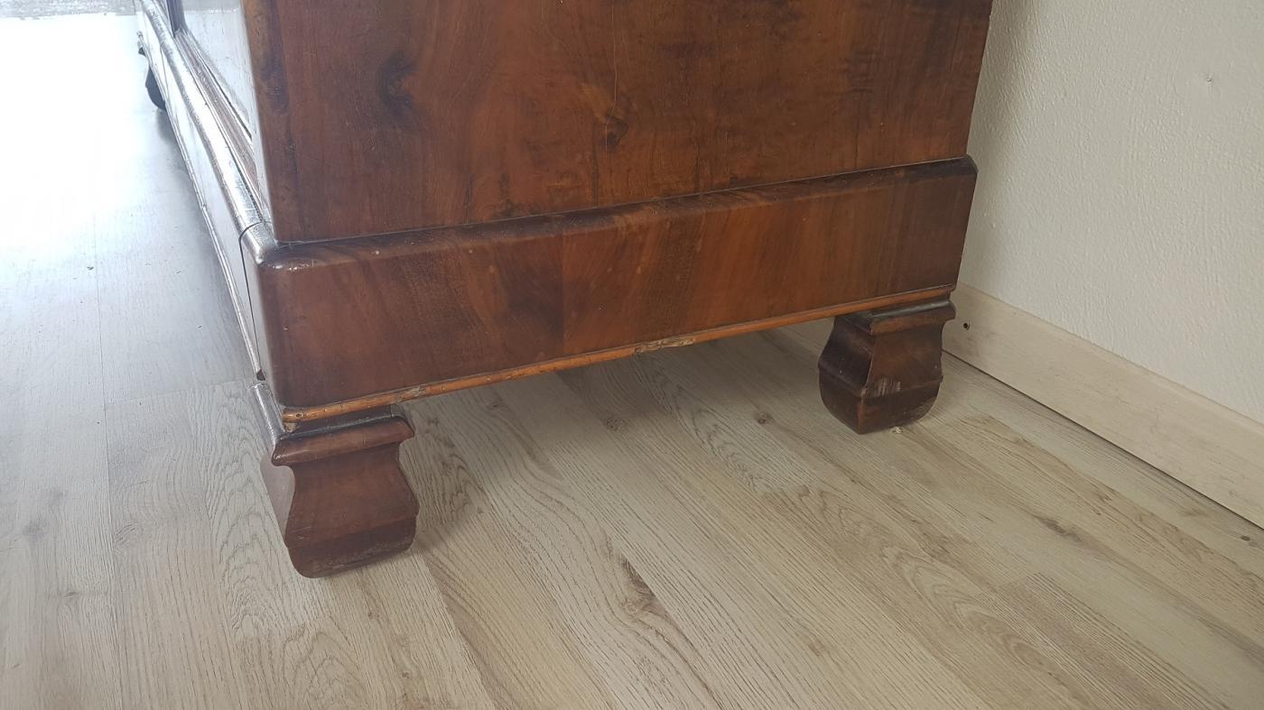 19th Century Italian Charles X Walnut Pair of Wardrobes