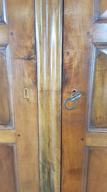 19th Century Italian Charles X Walnut Pair of Wardrobes
