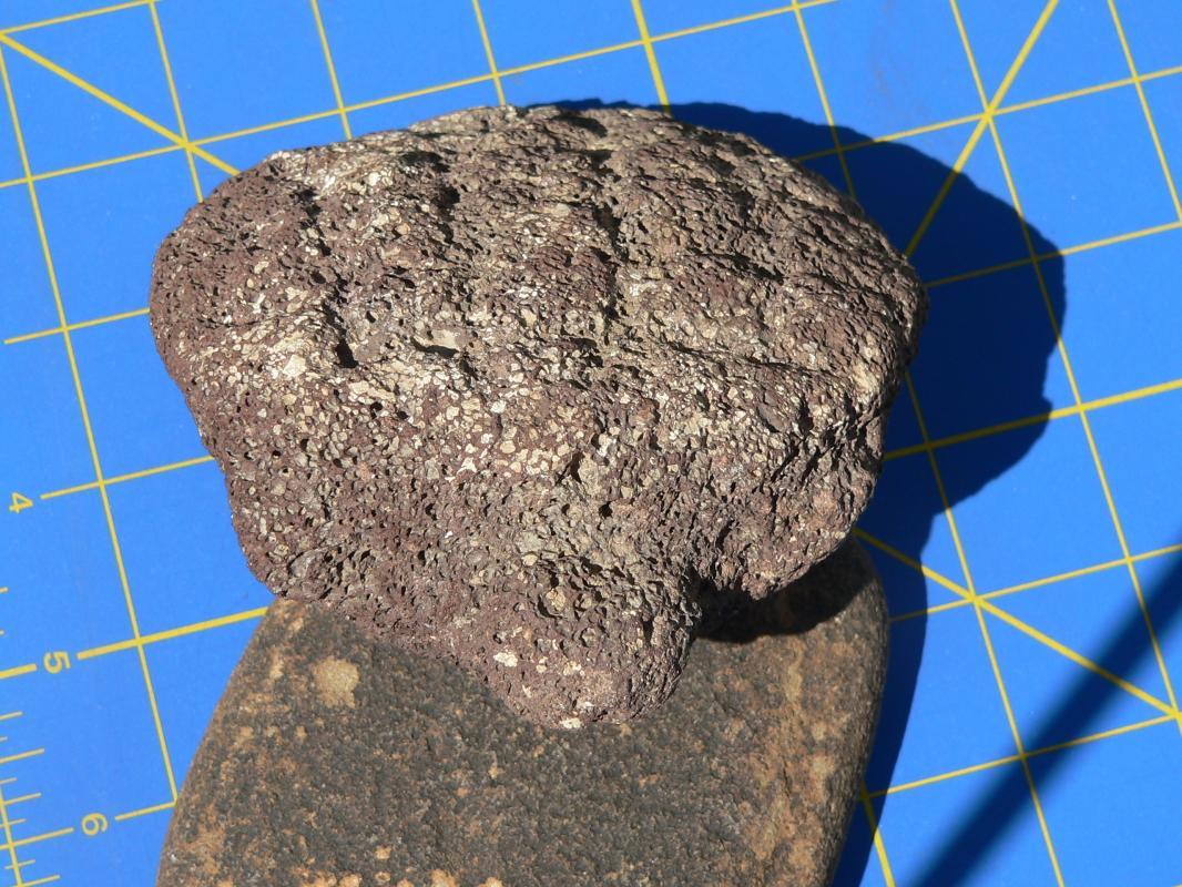 As Found Hohokam Anasazi Tortoise Effigy Fetish
