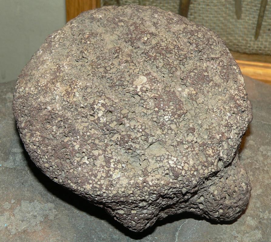 As Found Hohokam Anasazi Tortoise Effigy Fetish