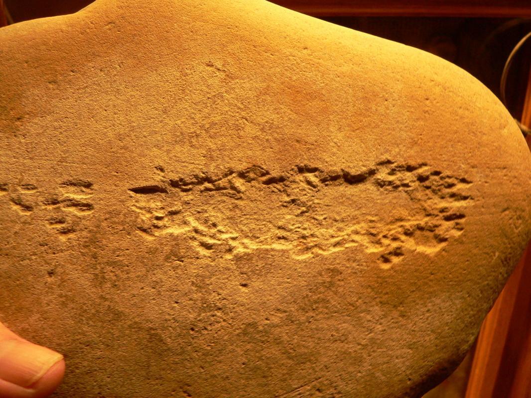 Salt Lake Fremont Anthrophorbic Figurers Rock Art Petro Glyphs Anasazi