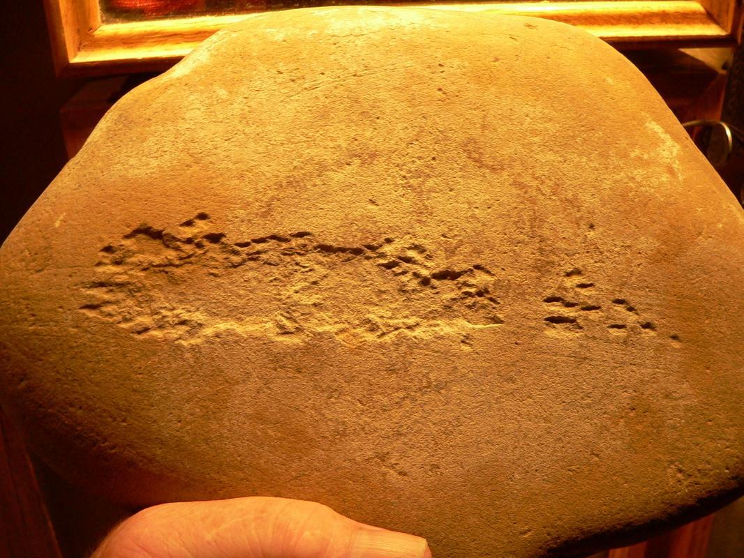 Salt Lake Fremont Anthrophorbic Figurers Rock Art Petro Glyphs Anasazi
