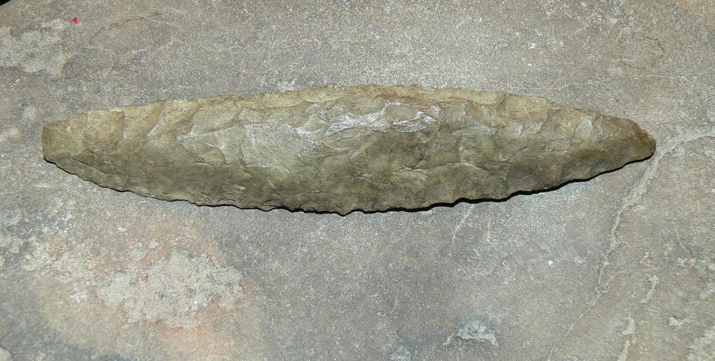 Paleo Haskett Type I Point