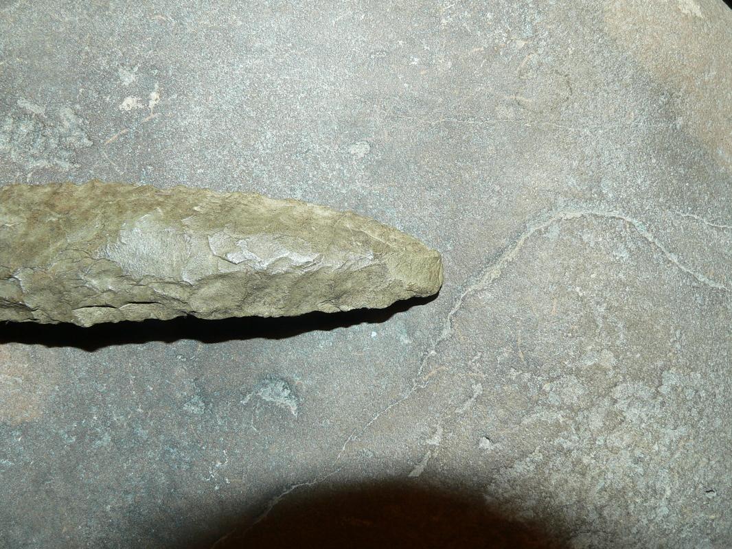 Paleo Haskett Type I Point