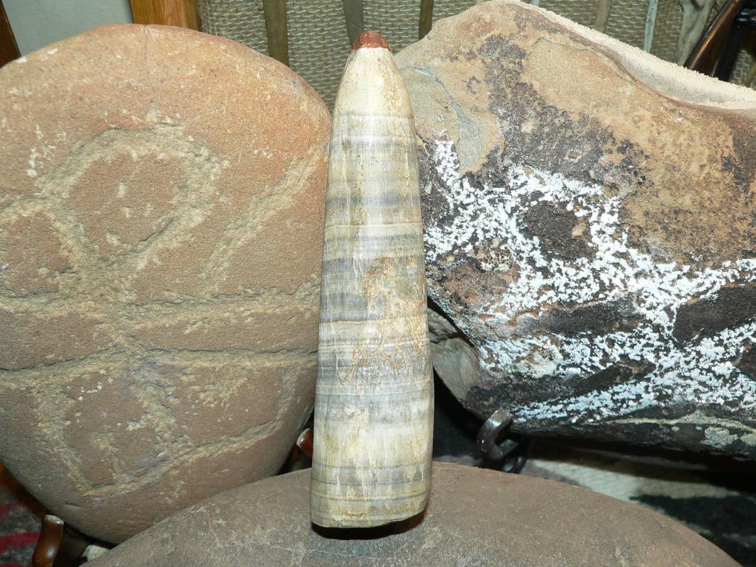 Early Pueblo Cultures Shamans Prayer Stick