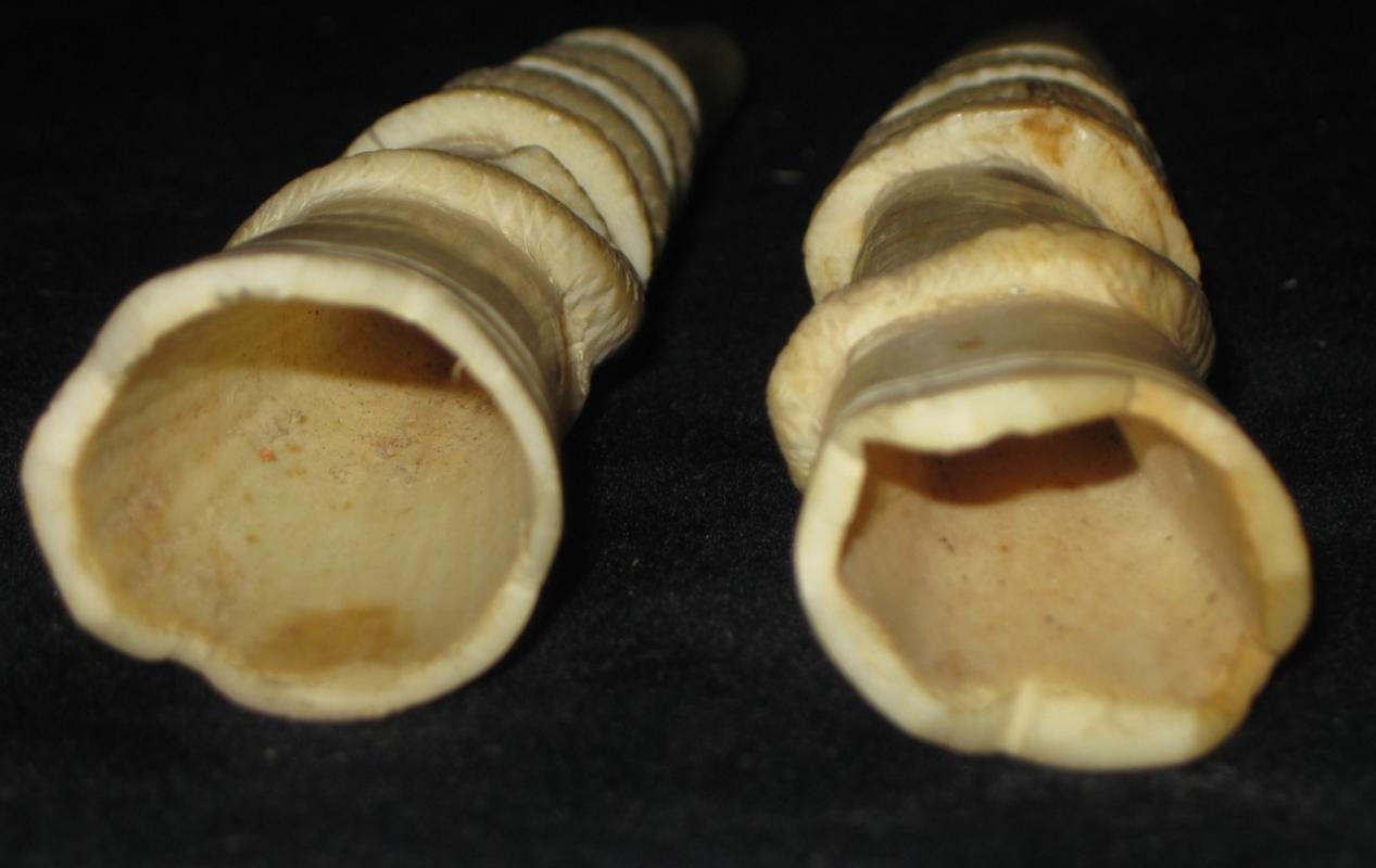 Pair (2) Antique Indian Ivory Legs