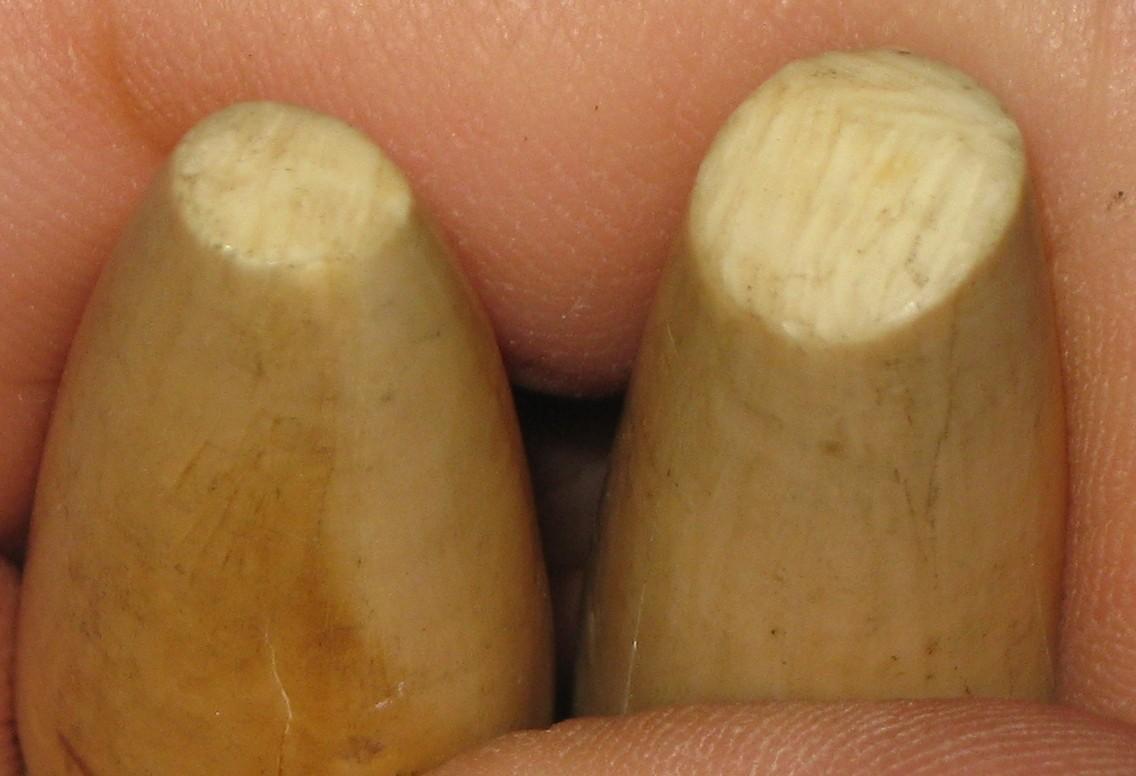 Pair (2) Antique Indian Ivory Legs