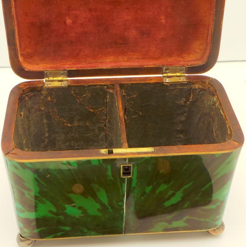 Rare Tortoiseshell Green Tea Cady