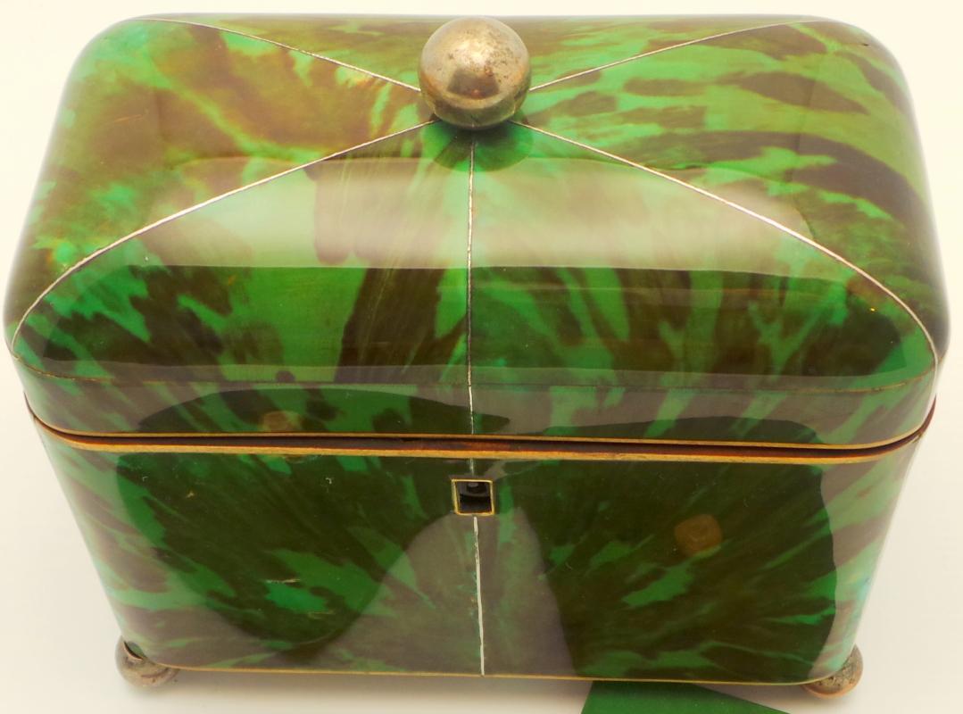 Rare Tortoiseshell Green Tea Cady