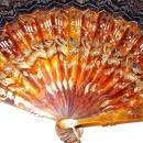 Lovely 19th Cen. Hand Painted Fan