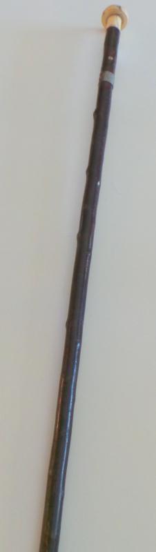 An Interesting nautical Cane w/ a Two-Piece Whale Ivory Handle