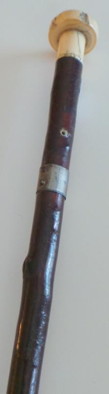 An Interesting nautical Cane w/ a Two-Piece Whale Ivory Handle