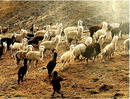 BOLIVIA. Aymara Peoples. Macha
