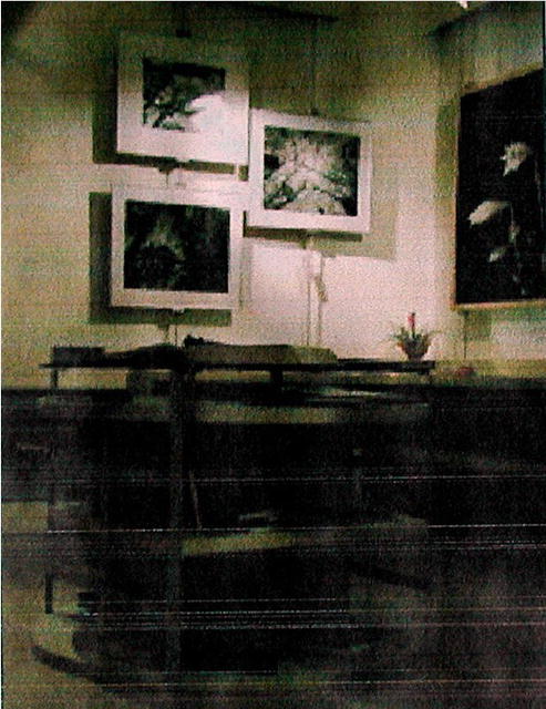 LUCA GHIELMI * L'Atelier di Jo. Varese, Italy GRAND OPENING
