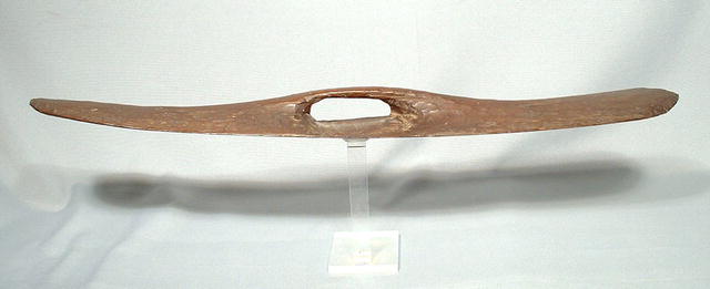 ANTIQUE AUSTRALIAN ABORIGINAL SHIELD