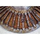 SOLD Antique 16th-18th century Turkish Ottoman Islamic Shield Kalkan