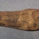 Authentic Ancient Egyptian circa 800-300 BC Faience Ushabti – Shabti