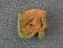 Ancient Egyptian Faience Amulet Eye of Horus Wadjet-Eye UZAT 664-525 BC